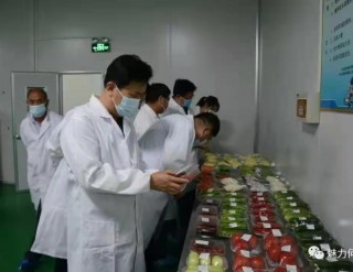 農村農業部王桂顯一行到山東澤遠食品考察調研智慧農業建設工作
